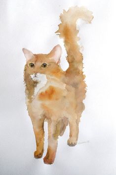 a watercolor painting of a cat on a white background