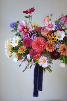 A local flower bouquet including pink, white, and multicolor cosmos, purple dahlias, zinnias, phlox, ageratum, and a pink coneflower against a white background and tied with a blue velvet ribbon Wedding Zinnias, Bright Dahlia Bouquet, Dahlia And Cosmos Bouquet, Dahlia Wildflower Bouquet, Bright Dahlia Wedding Bouquets, Dahlia Colors, Summer Garden Bouquet, Dalia Wedding Boquet, Bridesmaid Dresses Colorful Flowers