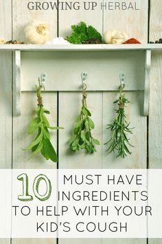 10 natural ingredients to help with your kids cough. From common kitchen foods, herbs, and more. Child Cough, Natural Cough Syrup, Herbs Medicine, Sickness Remedies, Health Website, Kids Cough, Herbs Remedies, Health Herbs, Cough Medicine