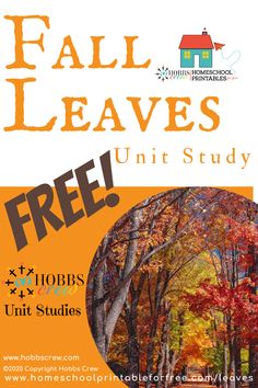 the fall leaves unit study poster