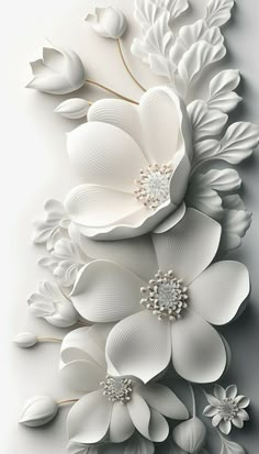 some white flowers and leaves on a gray background