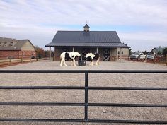 two horses standing in front of a barn with a black and white fence around it