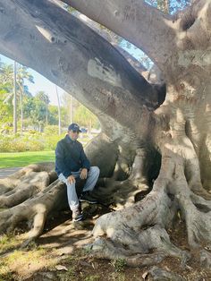 a man sitting in the middle of a large tree