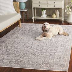 a dog laying on top of a rug in a living room