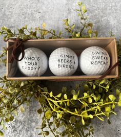 three white golf balls with words on them in a box next to some green plants