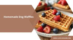 Ever catch your pup giving you those “really, kibble again?” eyes during breakfast? Well, get ready to shake up their morning routine with these super easy homemade dog waffles! Trust me, your furry breakfast buddy is about to think they’ve hit the jackpot. And the best part? They’re actually pretty simple to whip up. If ... Read more Dog Cake Recipe Pumpkin, Dog Waffles, Dog Cake Recipes, Bacon Dog, Easy Dog Treats, Homemade Pancakes, Homemade Pumpkin