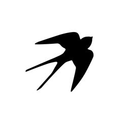 a black and white silhouette of a bird