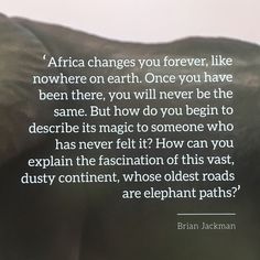 an elephant with the quote africa changes you forever like nowhere on earth once you have been there, you will never be the same