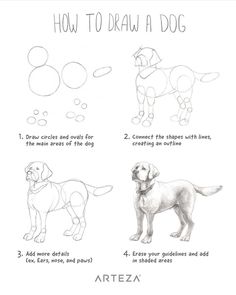 how to draw a dog step by step drawing instructions for kids and adults with pictures