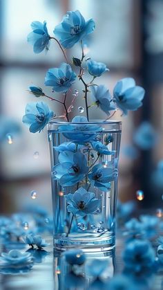 blue flowers in a clear glass vase on a table with water droplets around the edges