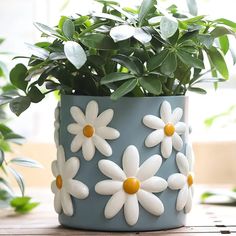 a potted plant sitting on top of a wooden table