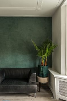 a living room filled with furniture and a green wall behind the couch is a potted plant