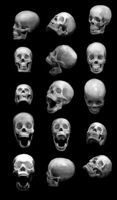 a bunch of skulls that are all different sizes