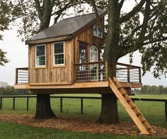 a tree house built on top of a tree in the middle of a grassy field