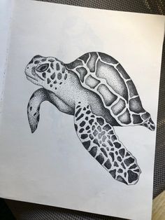 a drawing of a sea turtle in black and white on a piece of parchment paper