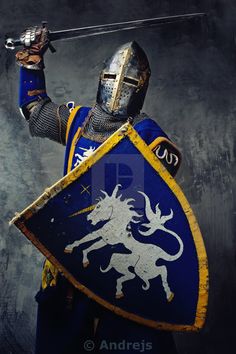 Heroic Fantasy, Medieval World, Knight In Shining Armor, Knight Armor, Medieval Times, Medieval Armor