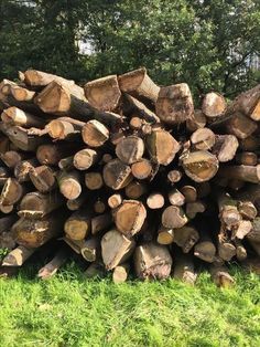 a pile of logs sitting in the grass