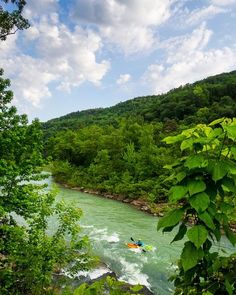 a man is kayaking down a river surrounded by trees and greenery on a sunny day