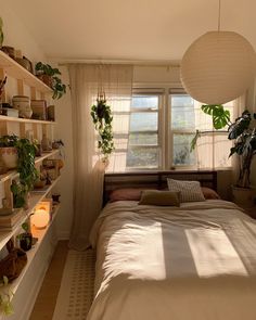 a bed sitting under a window next to a shelf filled with plants and potted plants