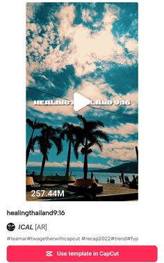 an instagram page with palm trees and clouds in the background