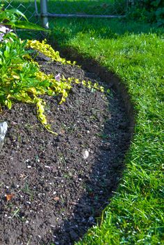 a flower bed in the middle of a garden with dirt and grass around it, next to a fence