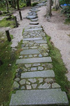 a stone path in the middle of a forest