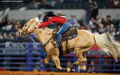 a woman riding on the back of a brown horse in front of a large crowd