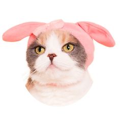 a cat wearing a pink bunny ears hat with one ear sticking out and looking at the camera