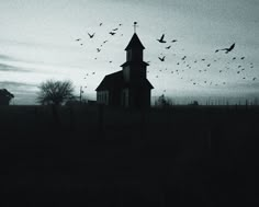 a flock of birds flying over a church