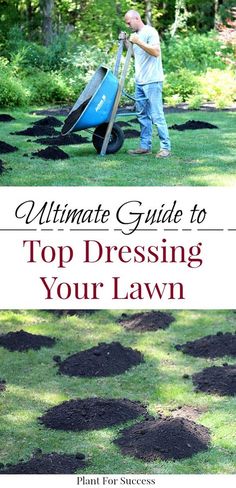 the ultimate guide to top dressing your lawn for weeding and mulch removals