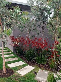 a small garden with red flowers and green grass in the foreground, next to a gray wall