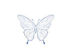 a drawing of a butterfly with blue lines on it's wings and back wing