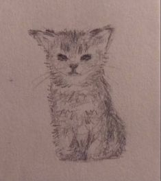 a pencil drawing of a kitten sitting down