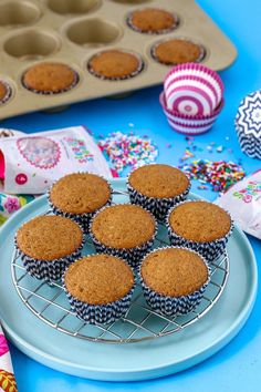 muffins cooling on a wire rack next to cupcake tins