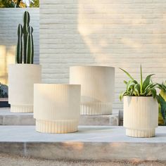 three white planters sitting next to each other