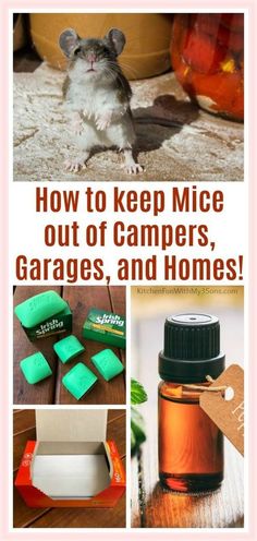 a collage of pictures with text that reads how to keep mice out of campers, garages, and homes