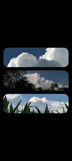 the sky and clouds are reflected in three different frames, each with grass growing on it