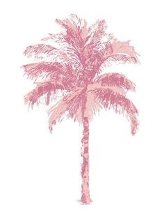 a pink palm tree on a white background