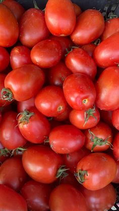 a bunch of tomatoes that are in a basket