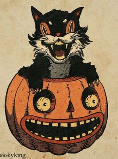 a cat sitting on top of a pumpkin with its mouth open and eyes wide open