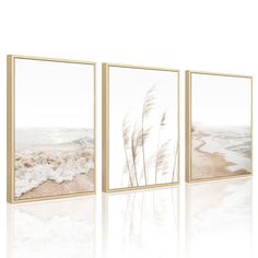 three framed pictures with water and sand in the background