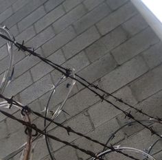 a bird perched on top of barbed wire next to a brick wall with a window in the background