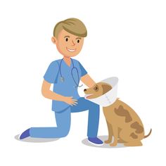 a man in blue scrubs kneels next to a dog with a stethoscope