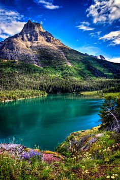 a mountain with a lake in the foreground and flowers on the ground below it