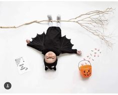 Newborn Bat Costume, Monthly Milestone Pictures Holiday, Baby Bat Costume Photoshoot, 3 Month Halloween Photoshoot, Newborn Photography Holiday, Spooky Newborn Photoshoot, Newborn Photoshoot Halloween, Newborn Halloween Picture Ideas, Spooky Newborn Pictures