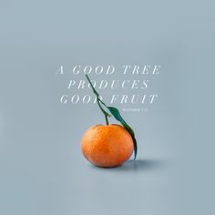 an orange with the words good tree produces good fruit