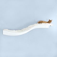 a cat laying on top of a white shelf