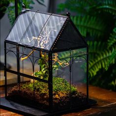 a glass house with plants inside on a table