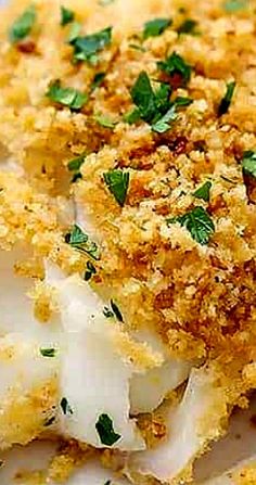 a close up of food on a plate with parmesan cheese and bread crumbs