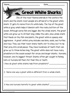 the great white shark worksheet for students to practice their writing and reading skills